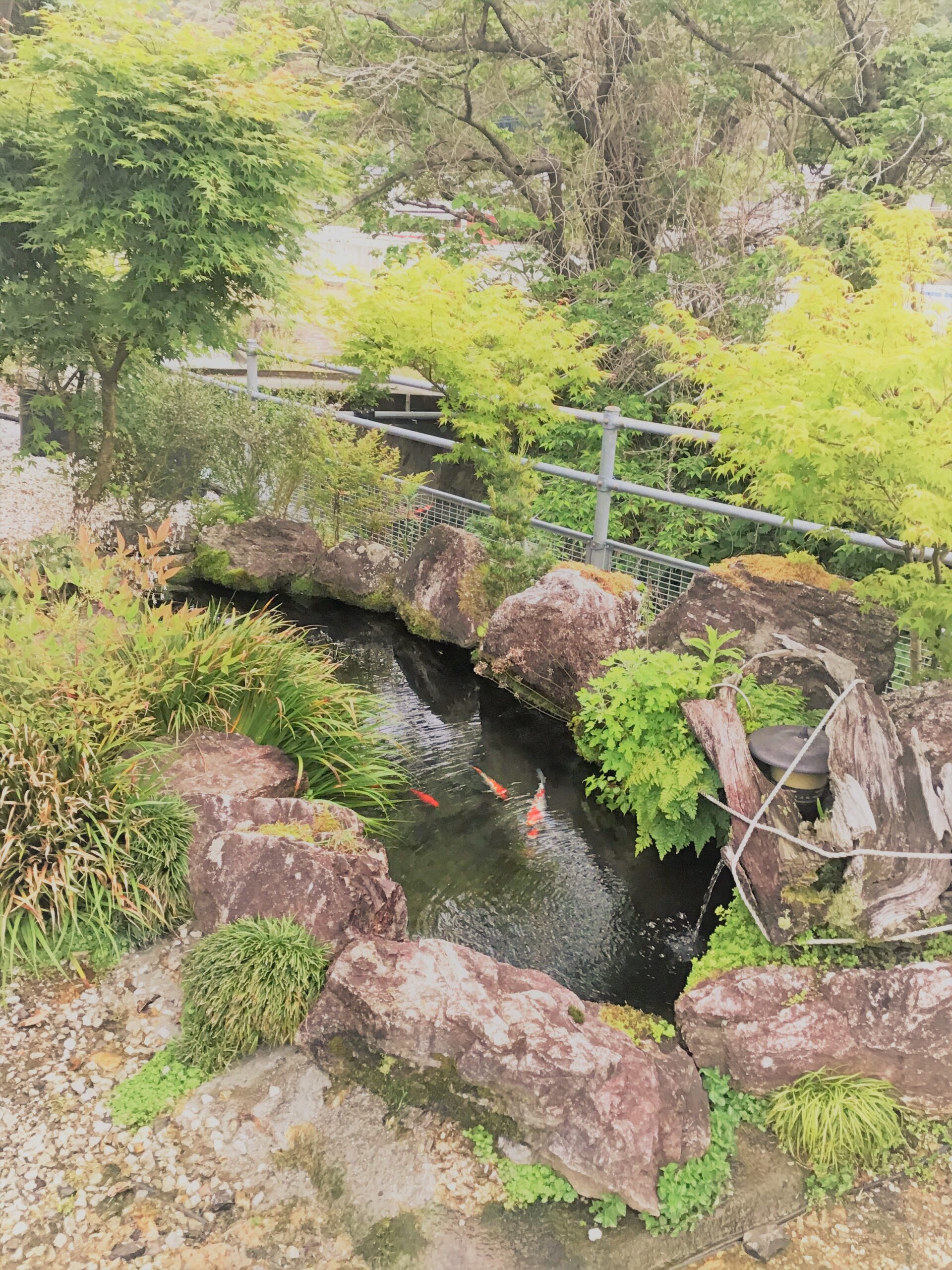 佐川町T様邸池造り